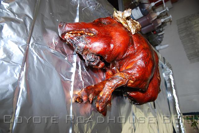 pigroast_2010_008.jpg