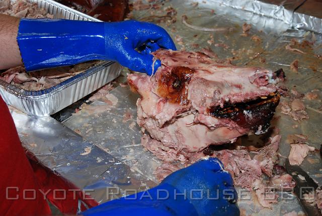 pigroast_2010_038.jpg