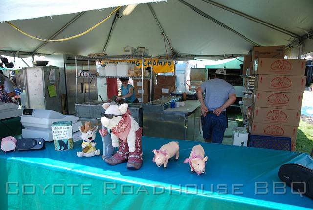 2010_ribfest_013.jpg