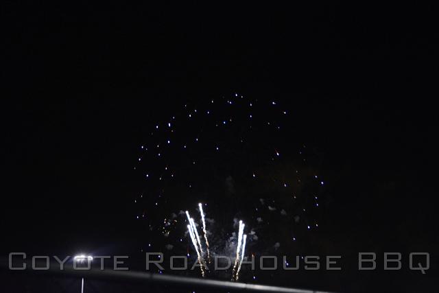 Toyota_Park_June_2014_146.jpg